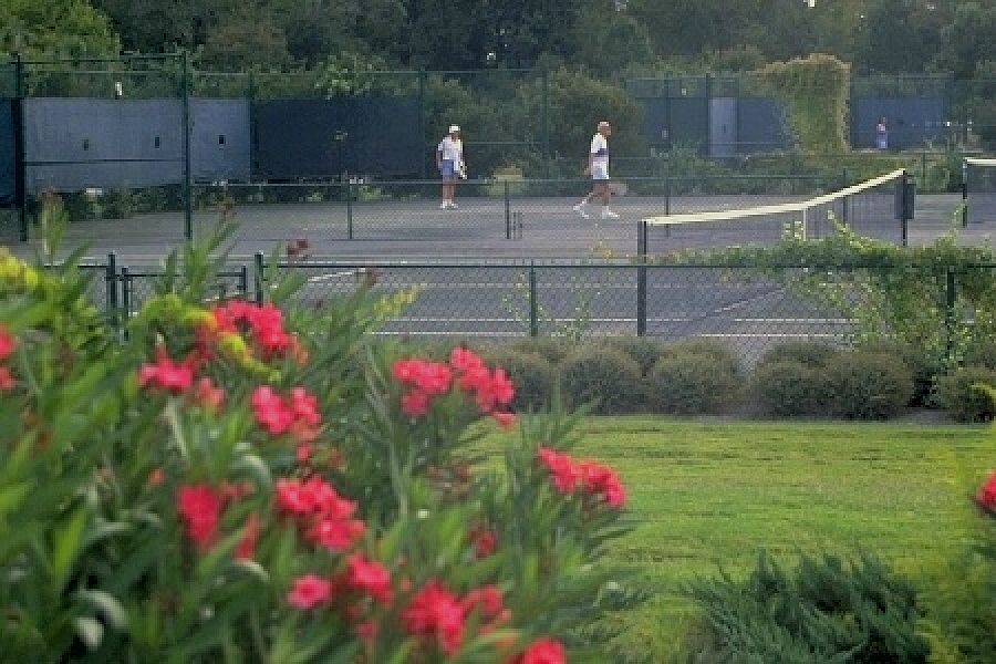 Courtside Tennis